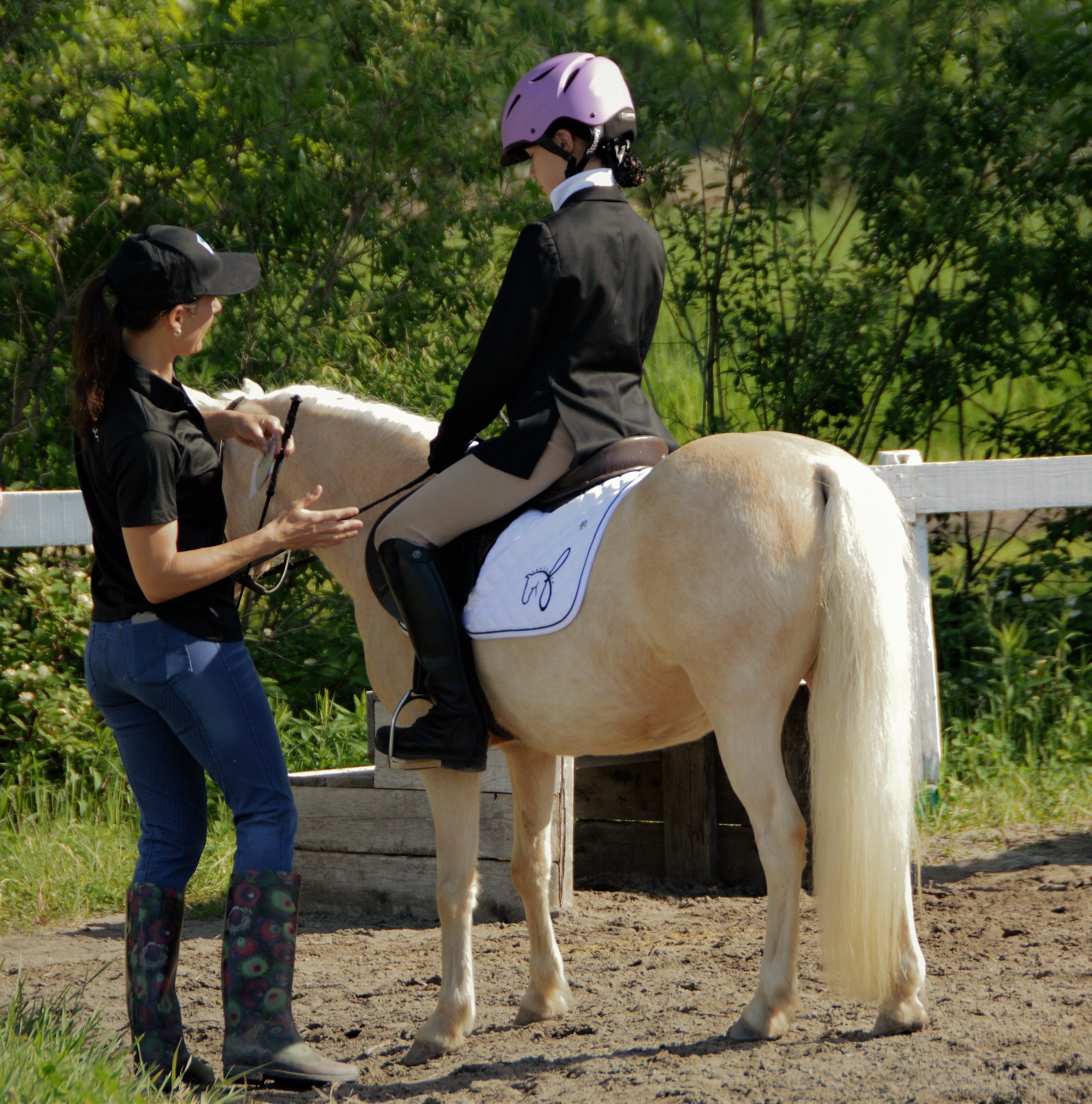 Cours d'équitation classique débutant et avancé